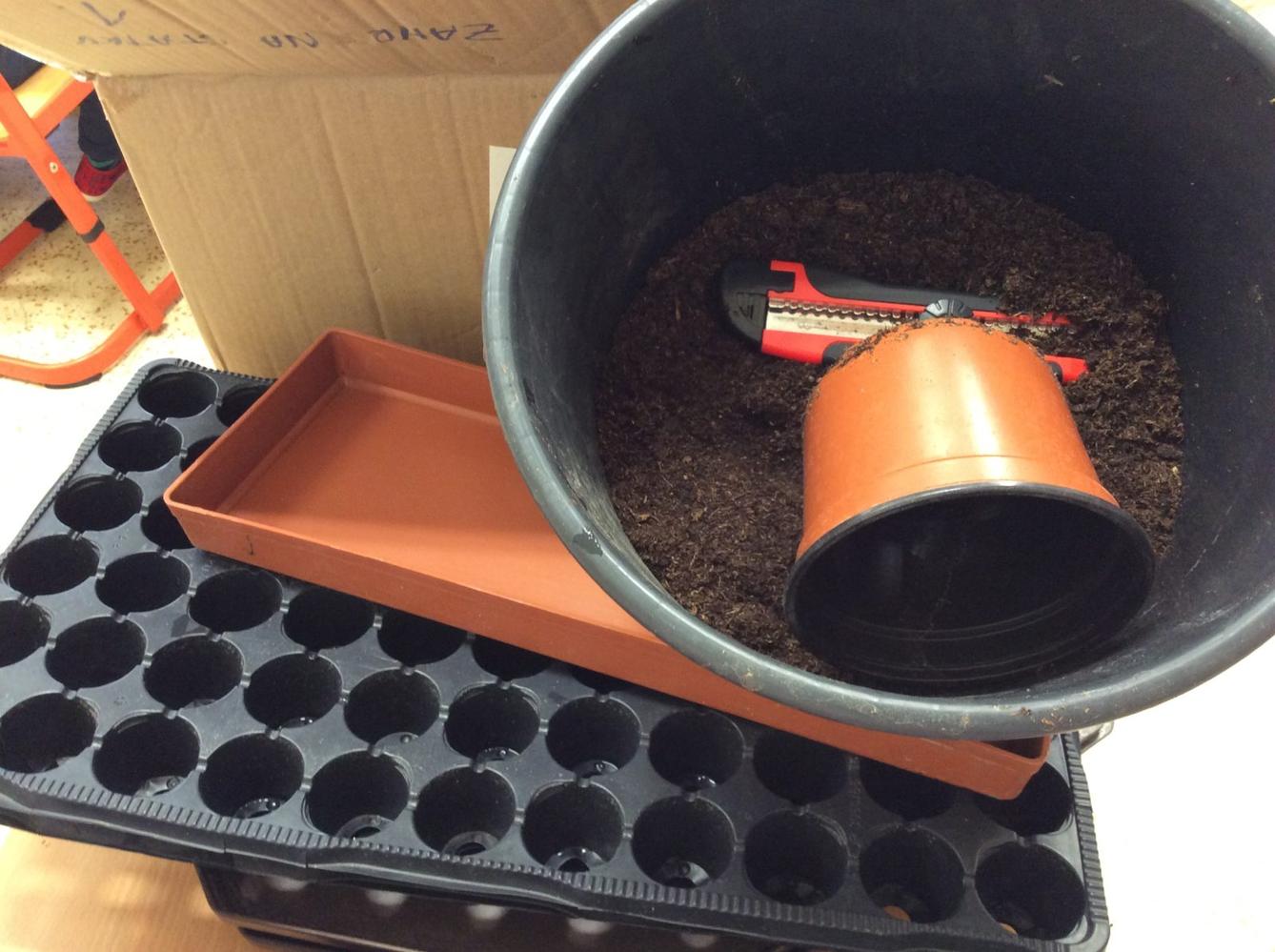 II. ODDĚLENÍ  Únor - 72