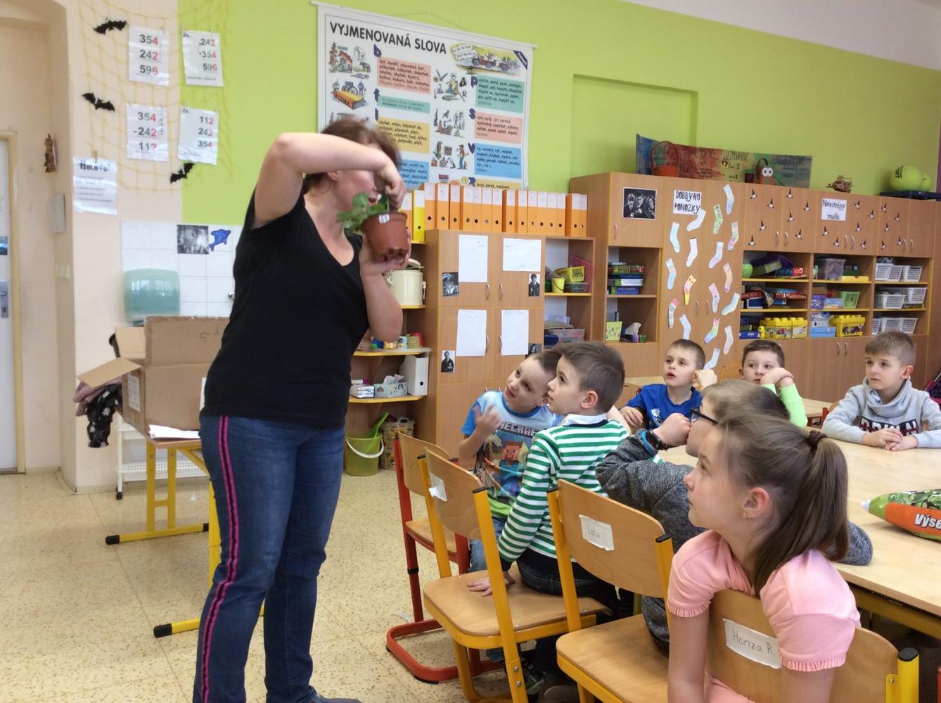 II. ODDĚLENÍ  Únor - 73