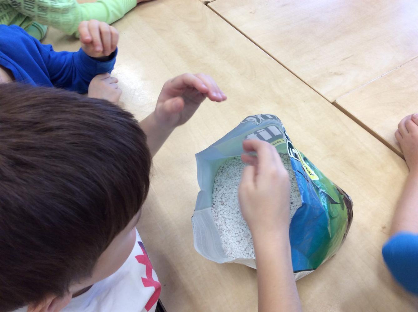 II. ODDĚLENÍ  Únor - 75