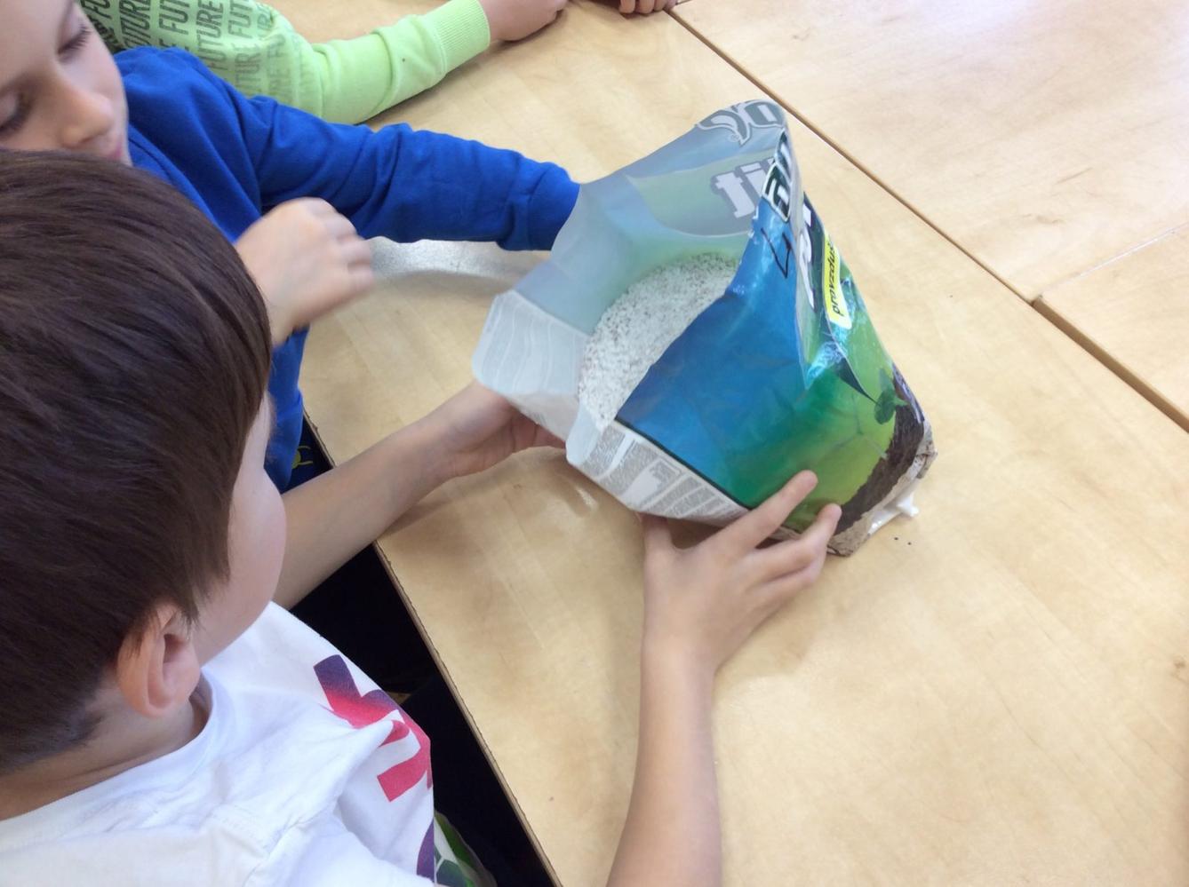 II. ODDĚLENÍ  Únor - 76