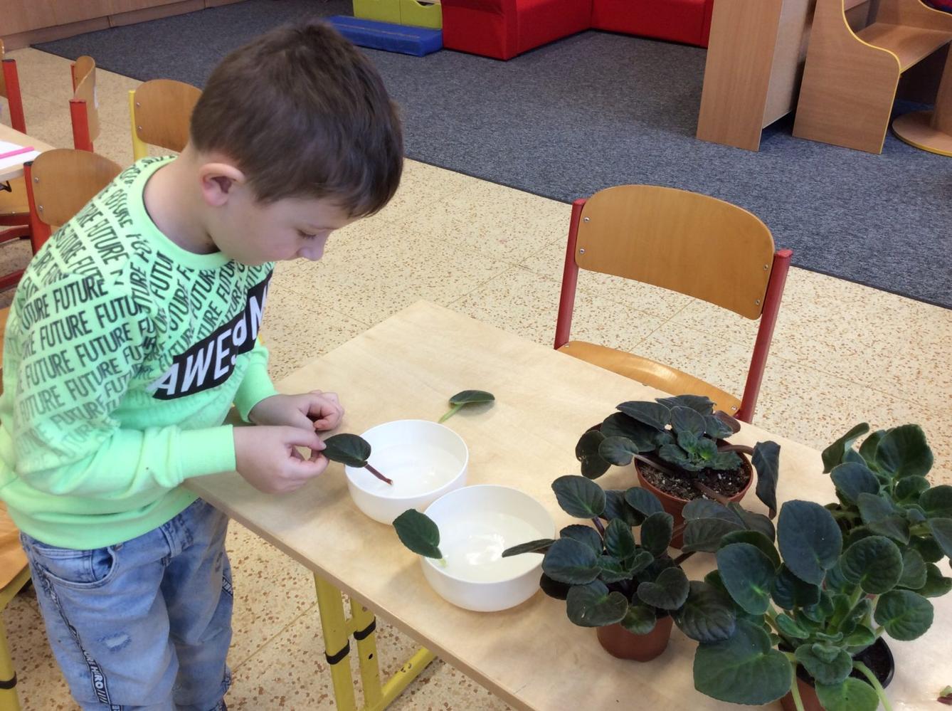 II. ODDĚLENÍ  Únor - 77