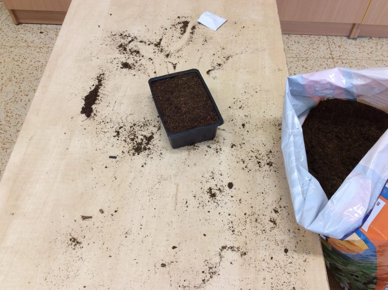 II. ODDĚLENÍ  Únor - 81