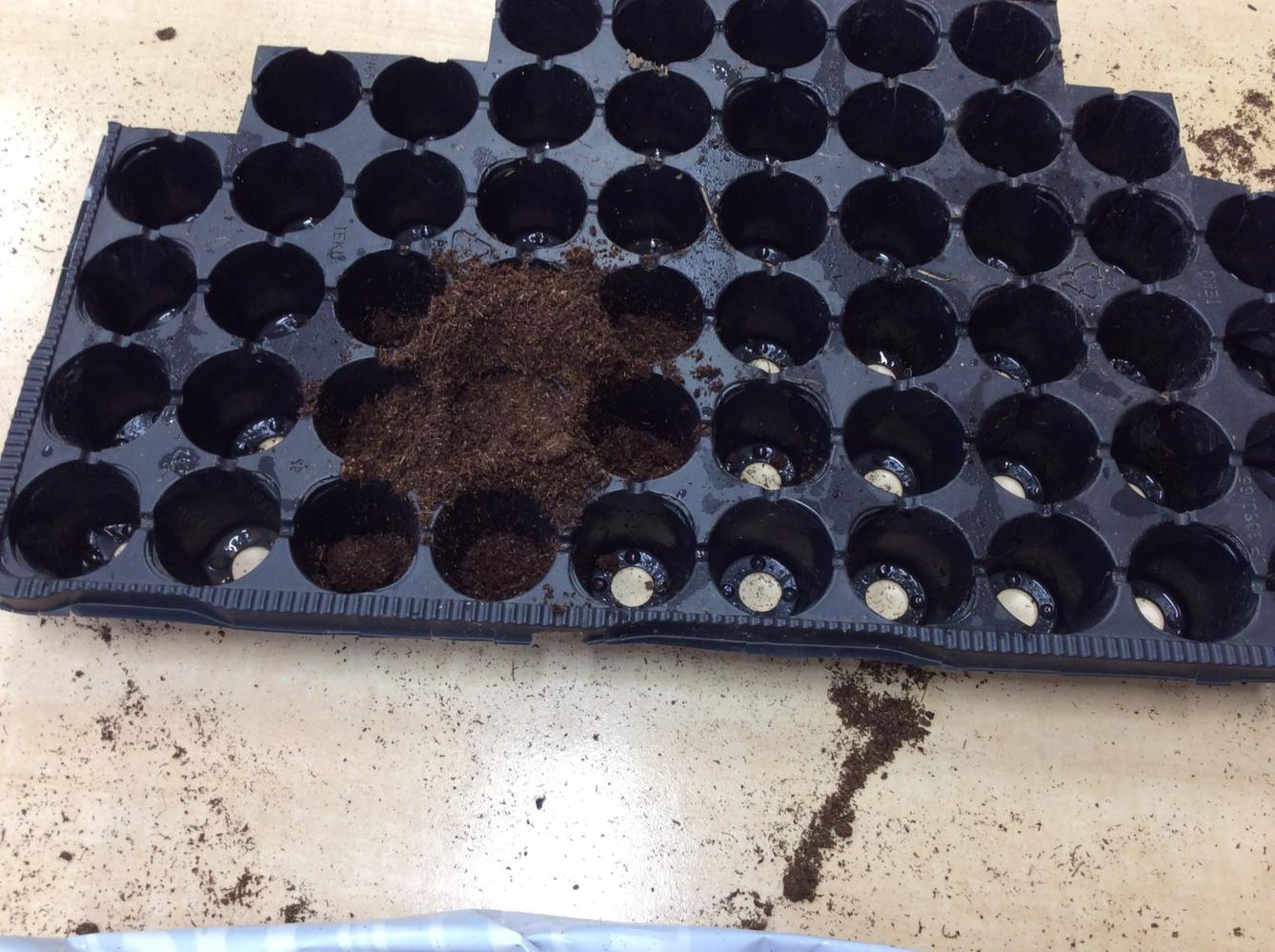 II. ODDĚLENÍ  Únor - 84