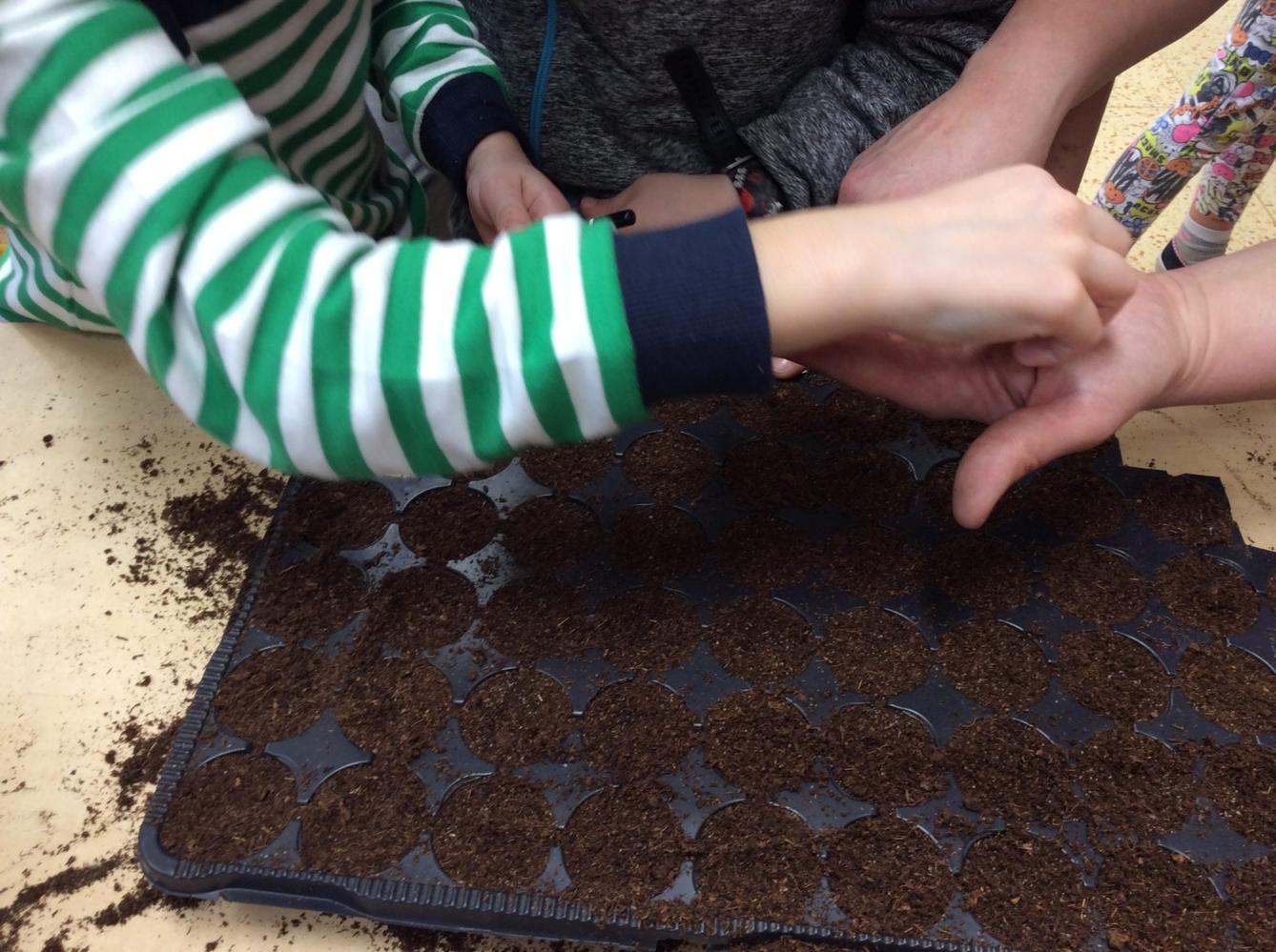 II. ODDĚLENÍ  Únor - 86