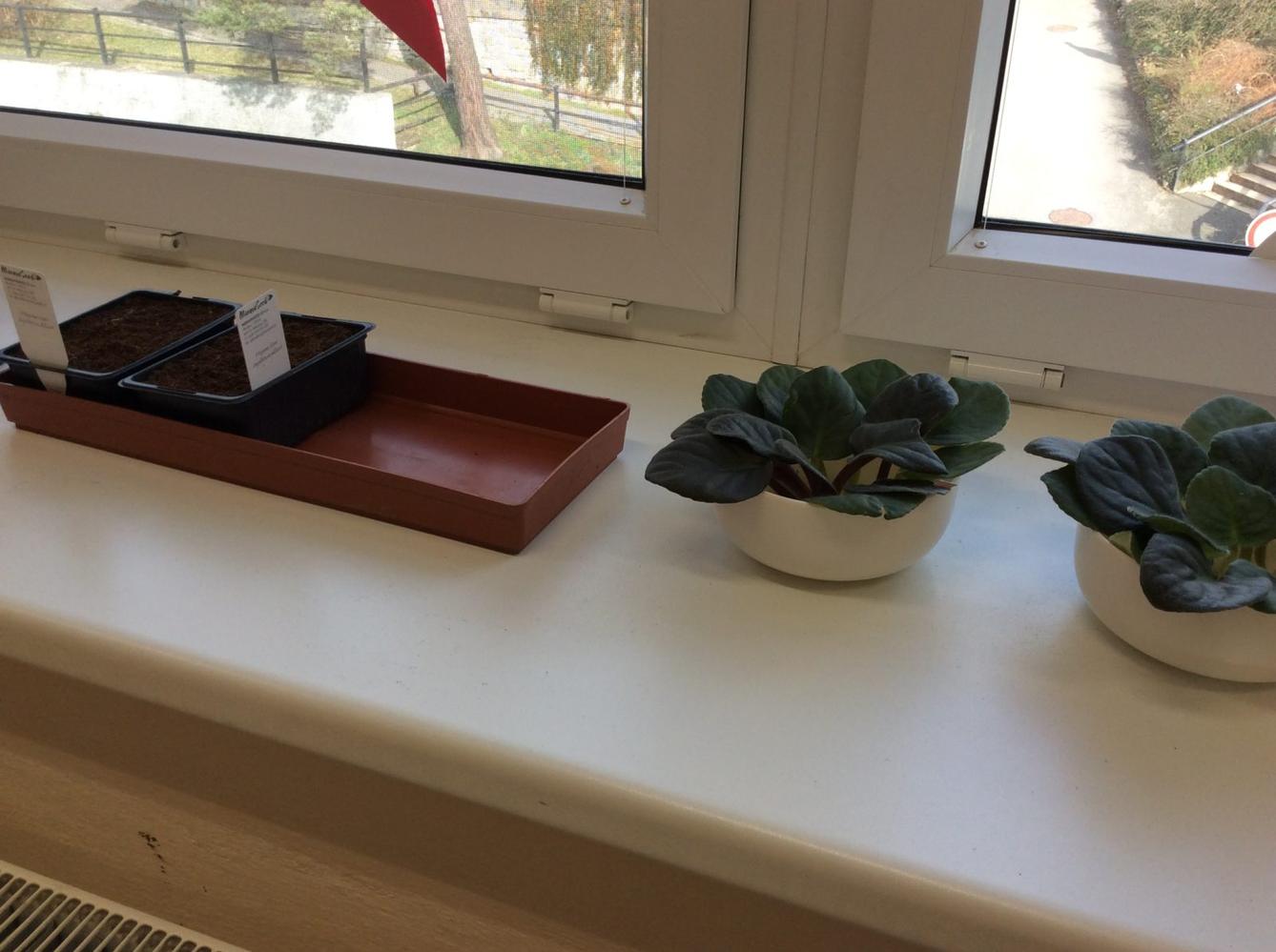 II. ODDĚLENÍ  Únor - 88