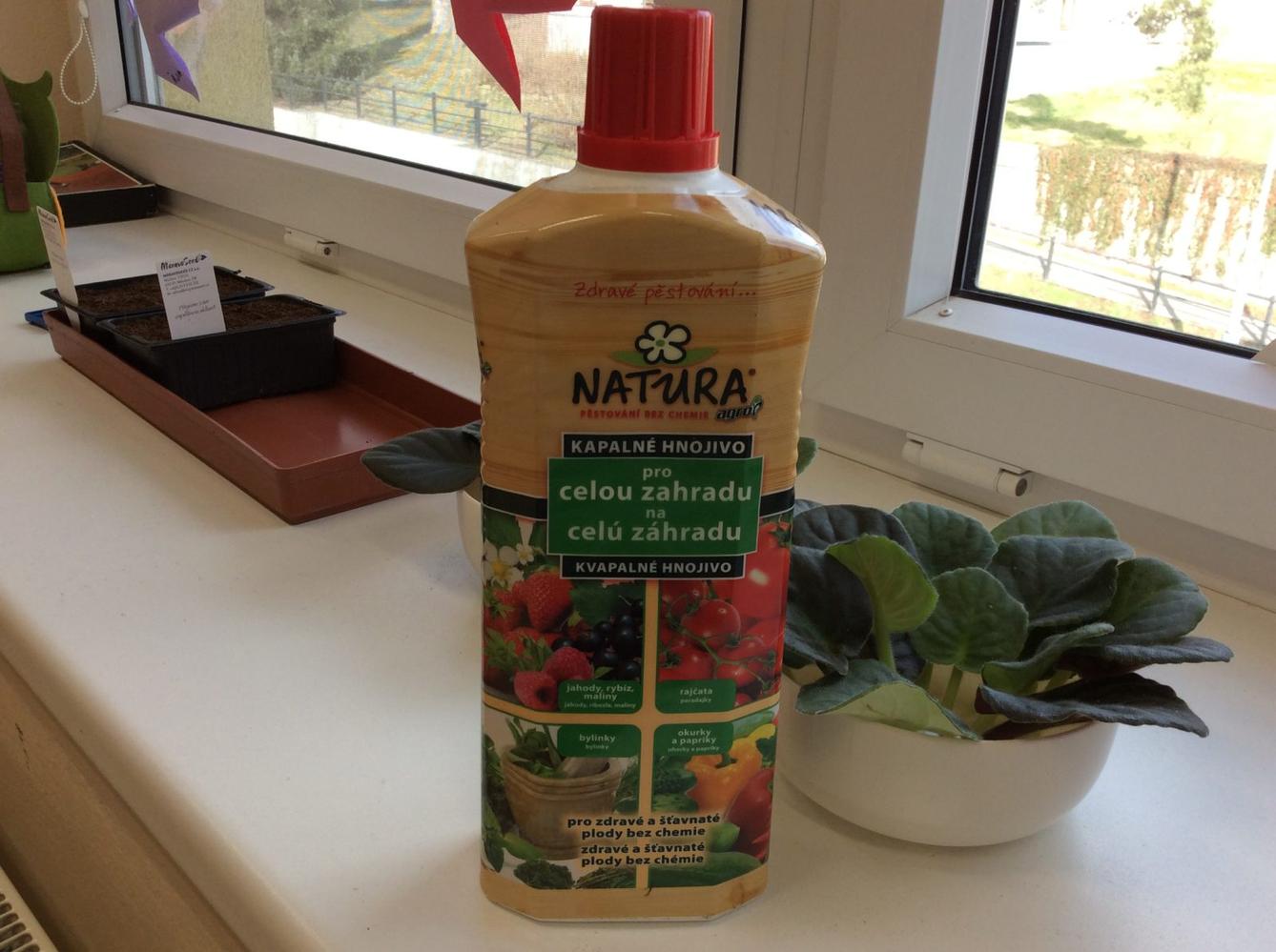 II. ODDĚLENÍ  Únor - 89