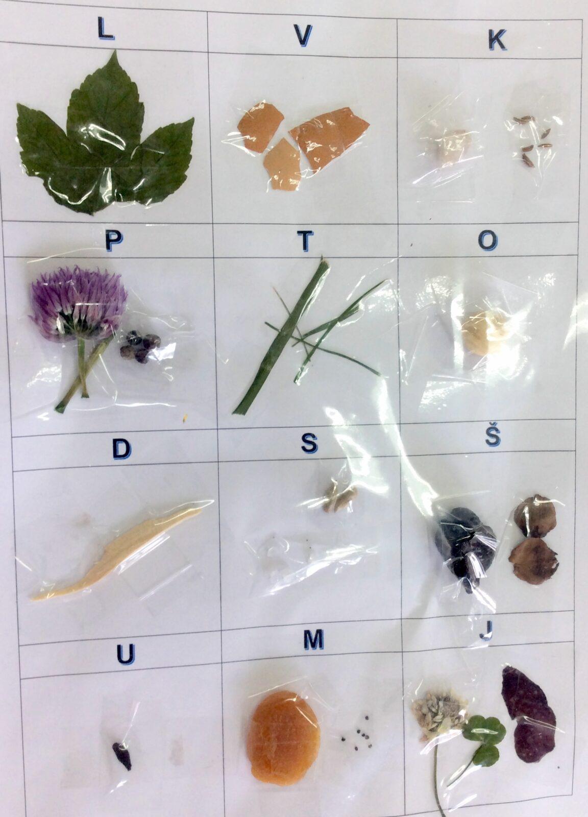 Příroda u třeťáčků 30. 5. - 20