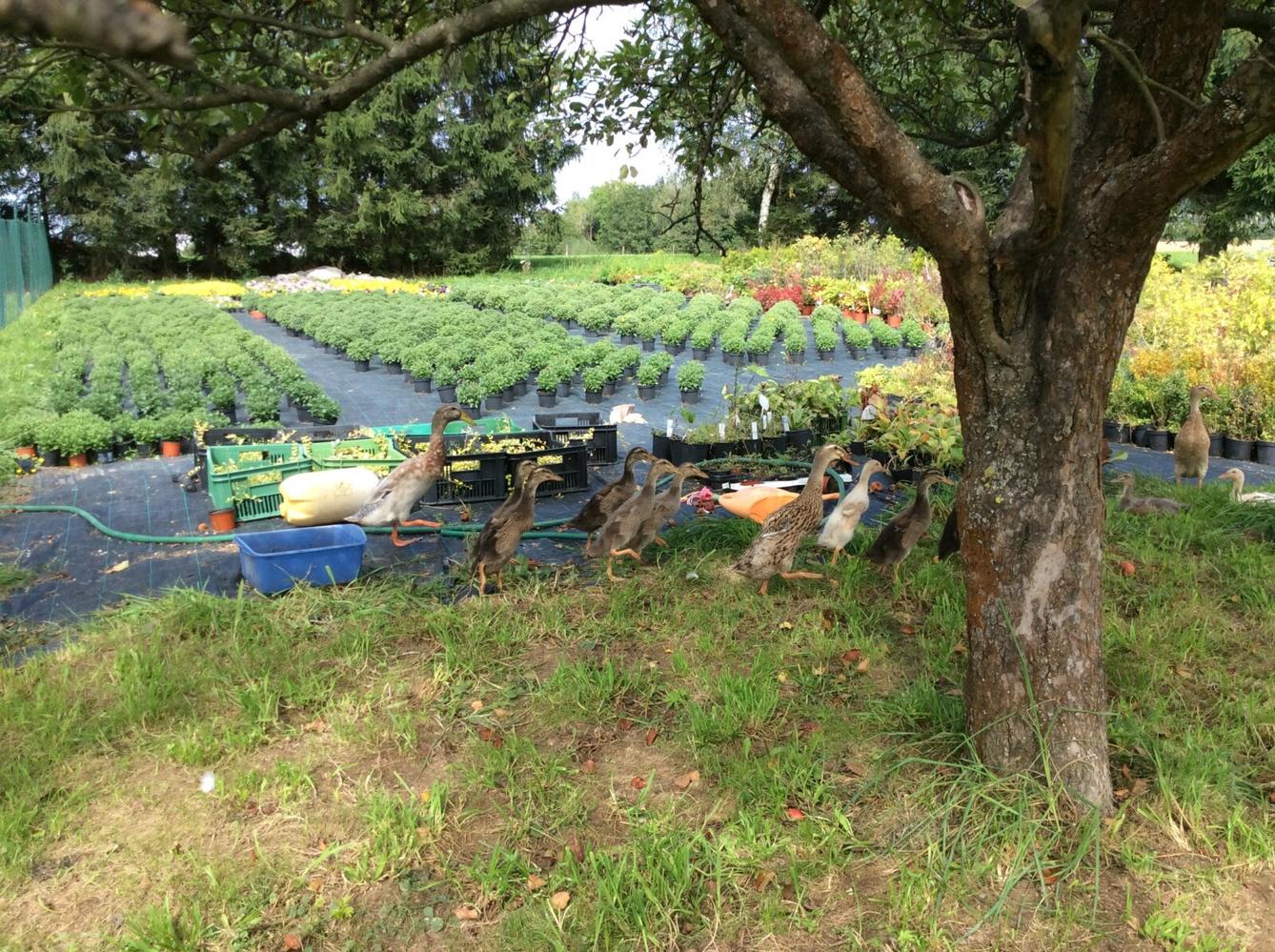 II.oddělení ZÁŘÍ - 18