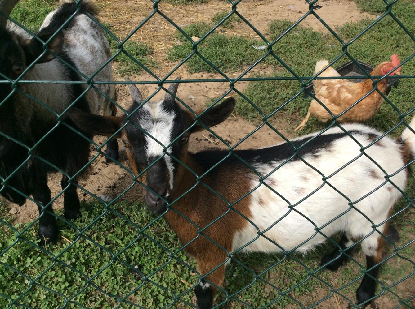 II.oddělení ZÁŘÍ - 22