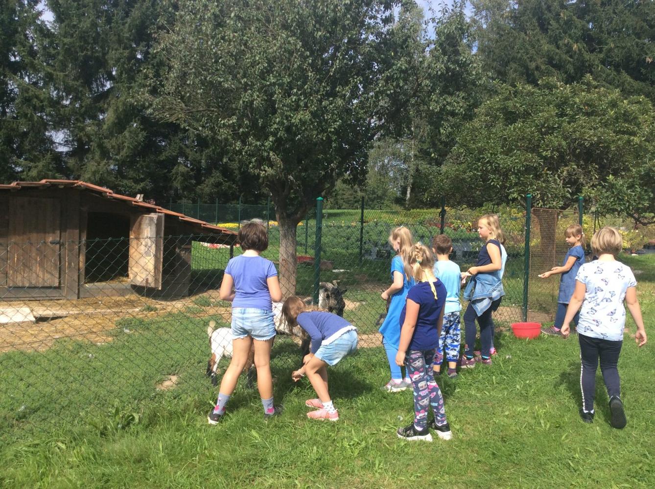 II.oddělení ZÁŘÍ - 28