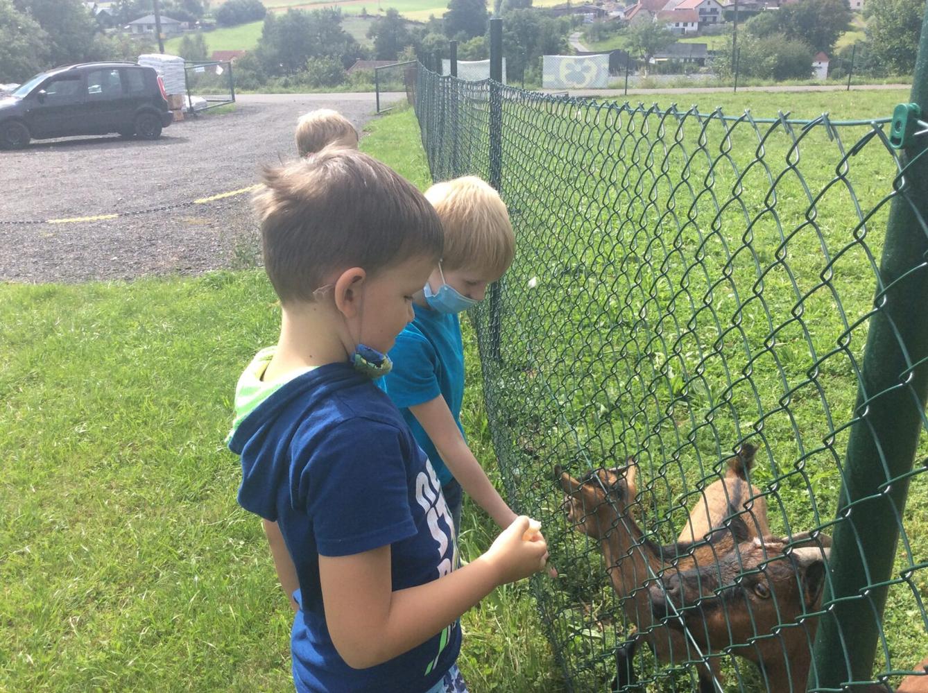 II.oddělení ZÁŘÍ - 29