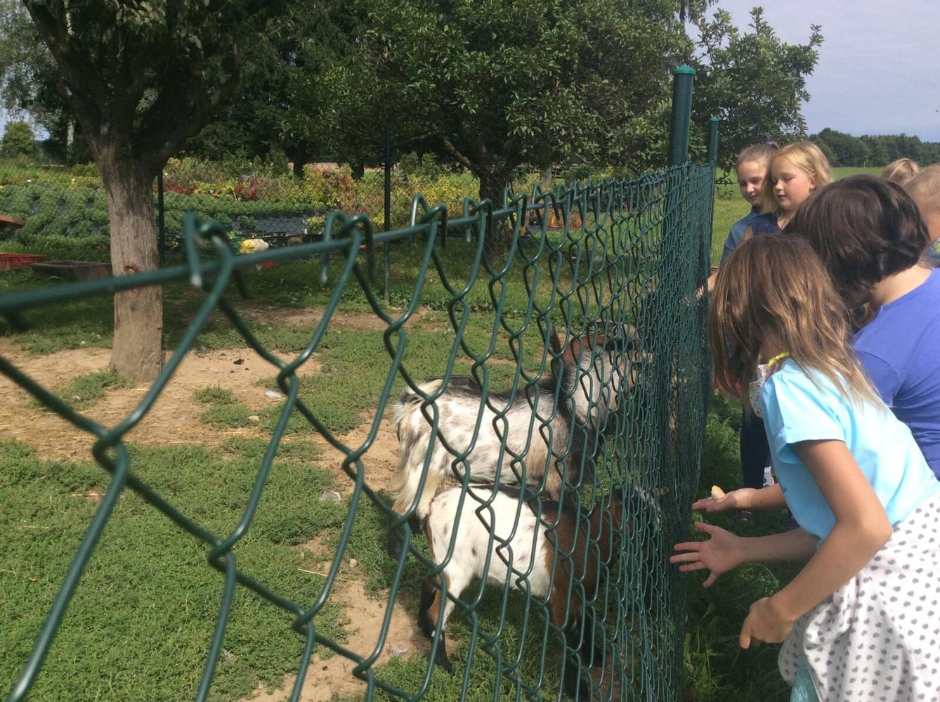 II.oddělení ZÁŘÍ - 30