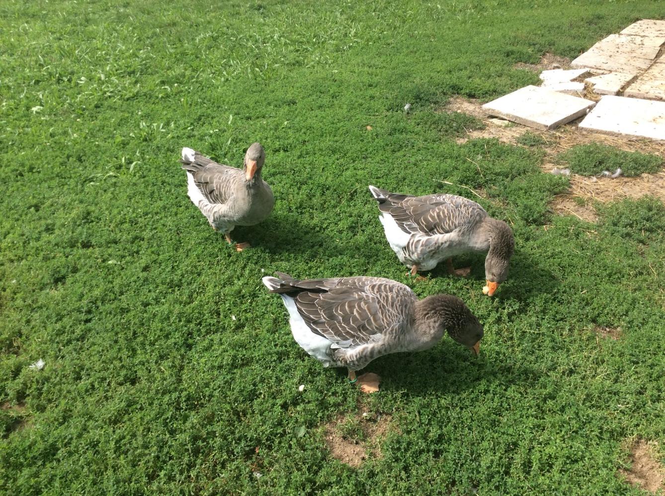 II.oddělení ZÁŘÍ - 31