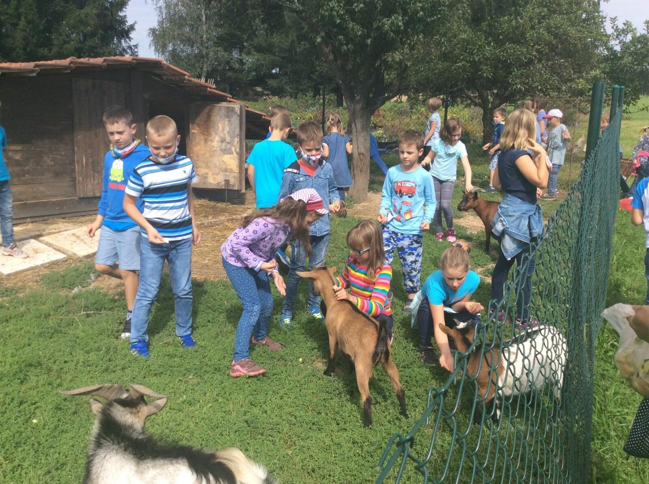 II.oddělení ZÁŘÍ - 35