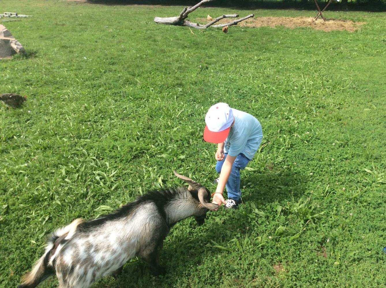 II.oddělení ZÁŘÍ - 36