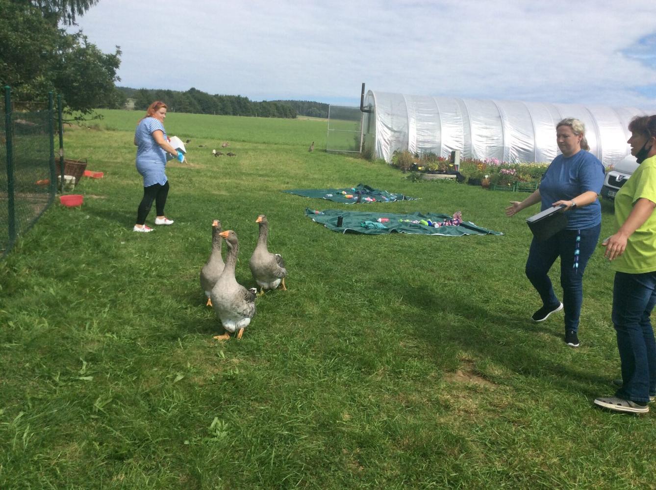 II.oddělení ZÁŘÍ - 37