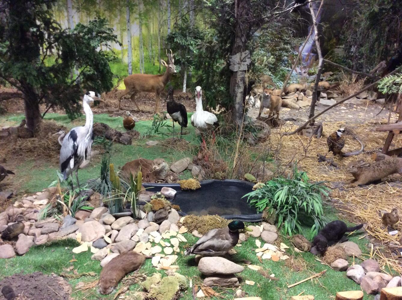 Družinový výlet do Doudleb nad Orlicí - 24