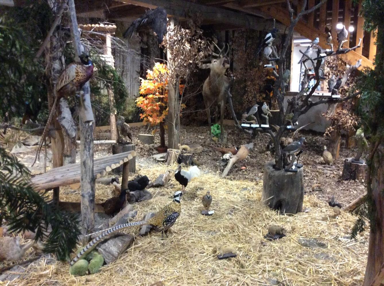 Družinový výlet do Doudleb nad Orlicí - 25