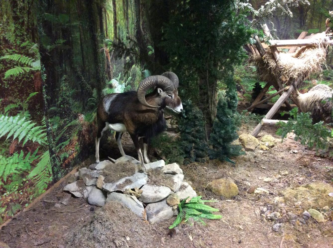 Družinový výlet do Doudleb nad Orlicí - 26