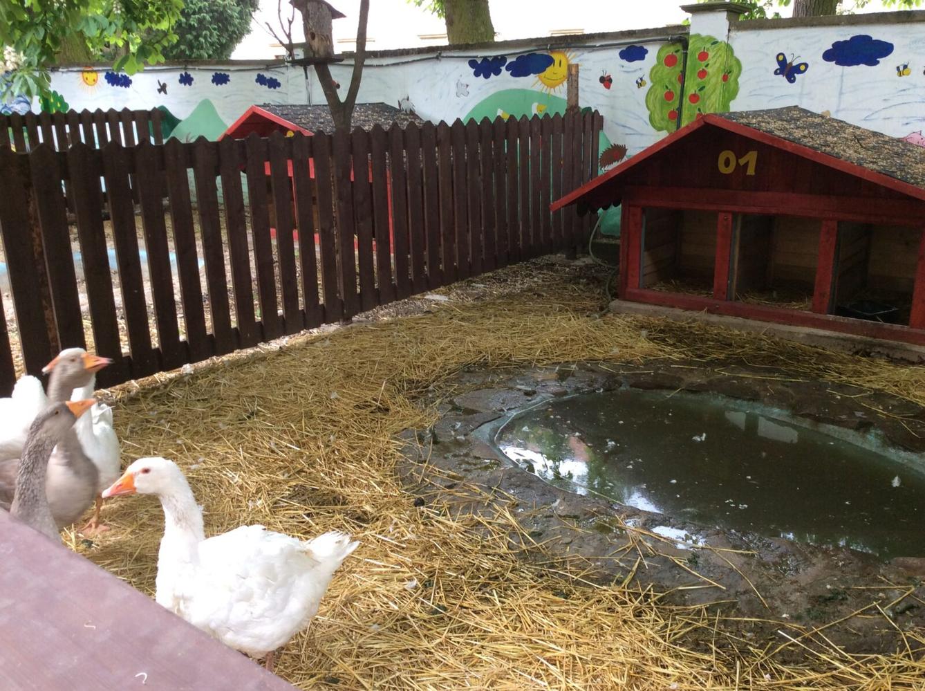 Družinový výlet do Doudleb nad Orlicí - 33