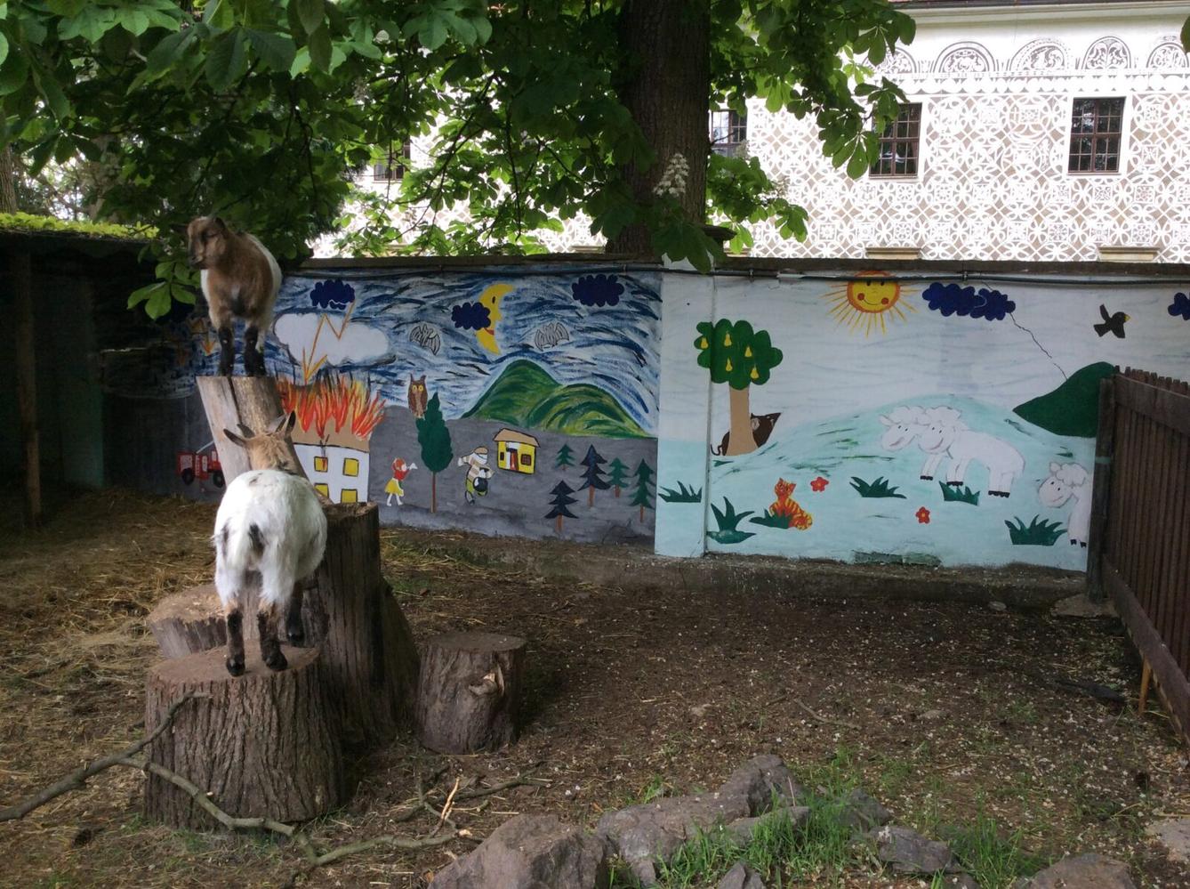 Družinový výlet do Doudleb nad Orlicí - 34