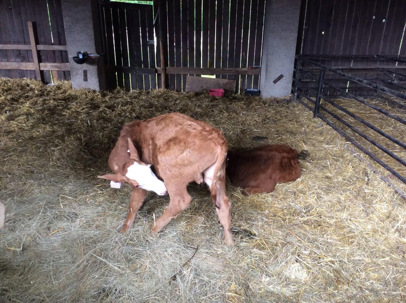 Družinový výlet do Doudleb nad Orlicí - 35