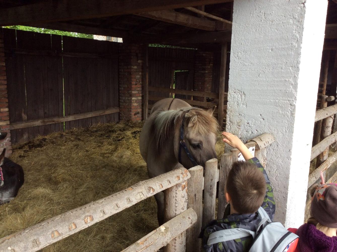 Družinový výlet do Doudleb nad Orlicí - 37