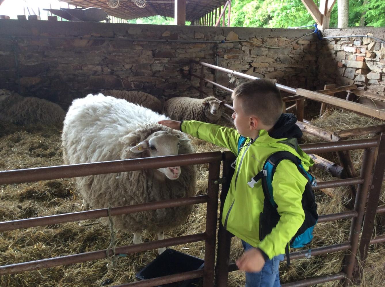 Družinový výlet do Doudleb nad Orlicí - 39