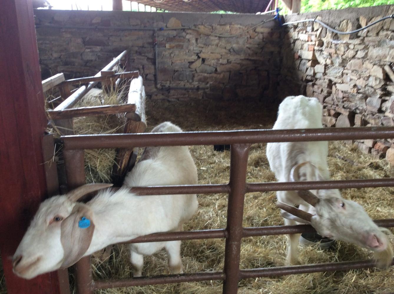 Družinový výlet do Doudleb nad Orlicí - 40