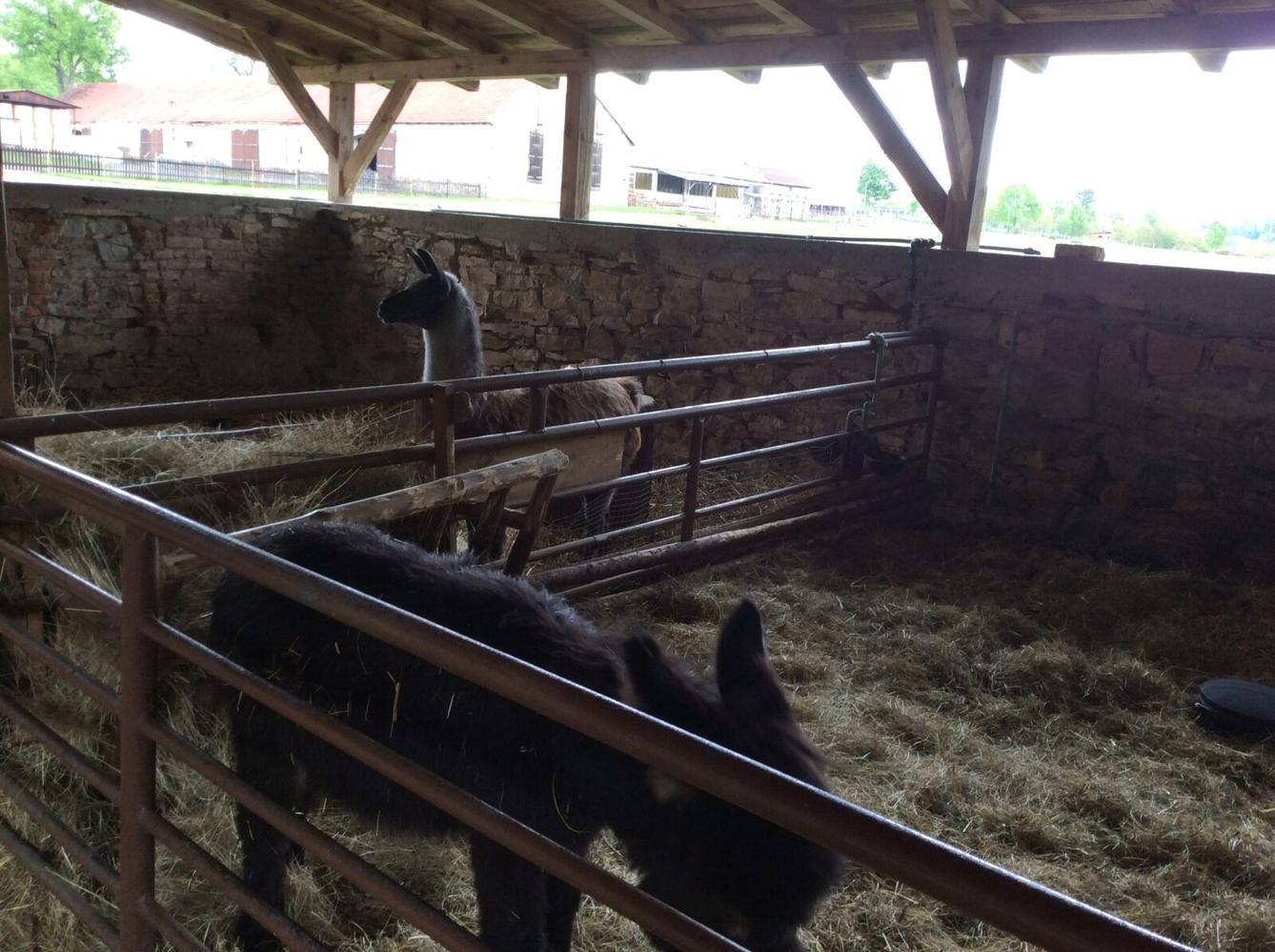 Družinový výlet do Doudleb nad Orlicí - 41