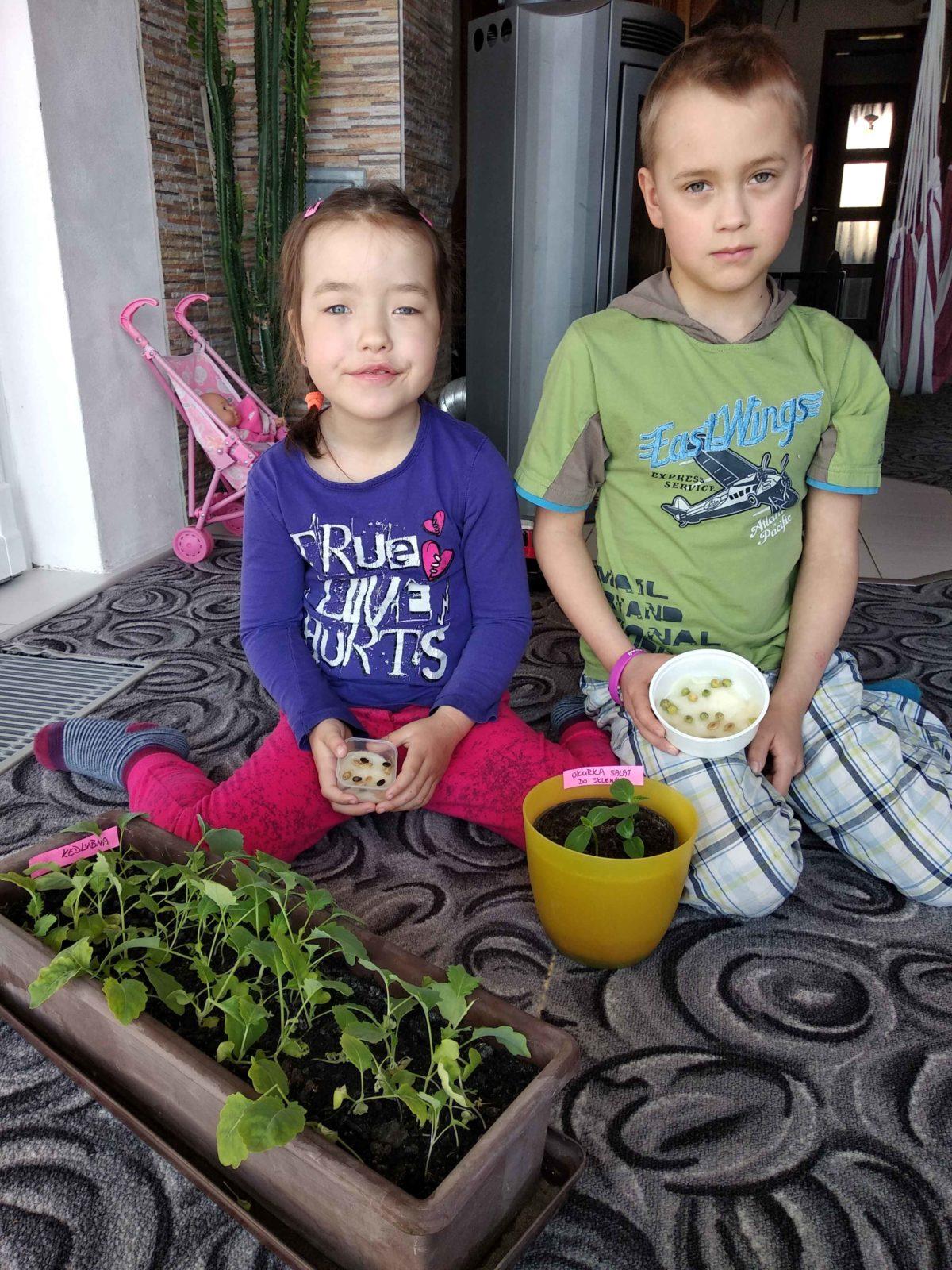 Výstupy druháčků z domácího učení 1. 4. - 1