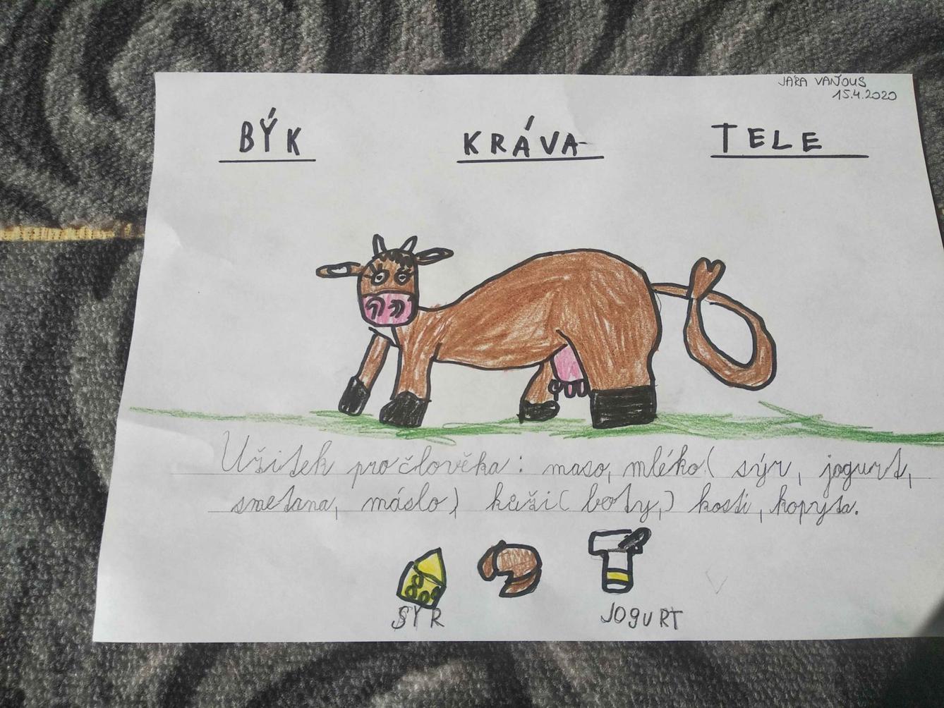 Výstupy druháčků z domácího učení 16. 4. - 5