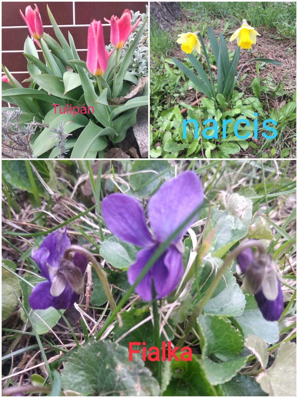 Distanční výuka ve třetí třídě 16. 4. - 10