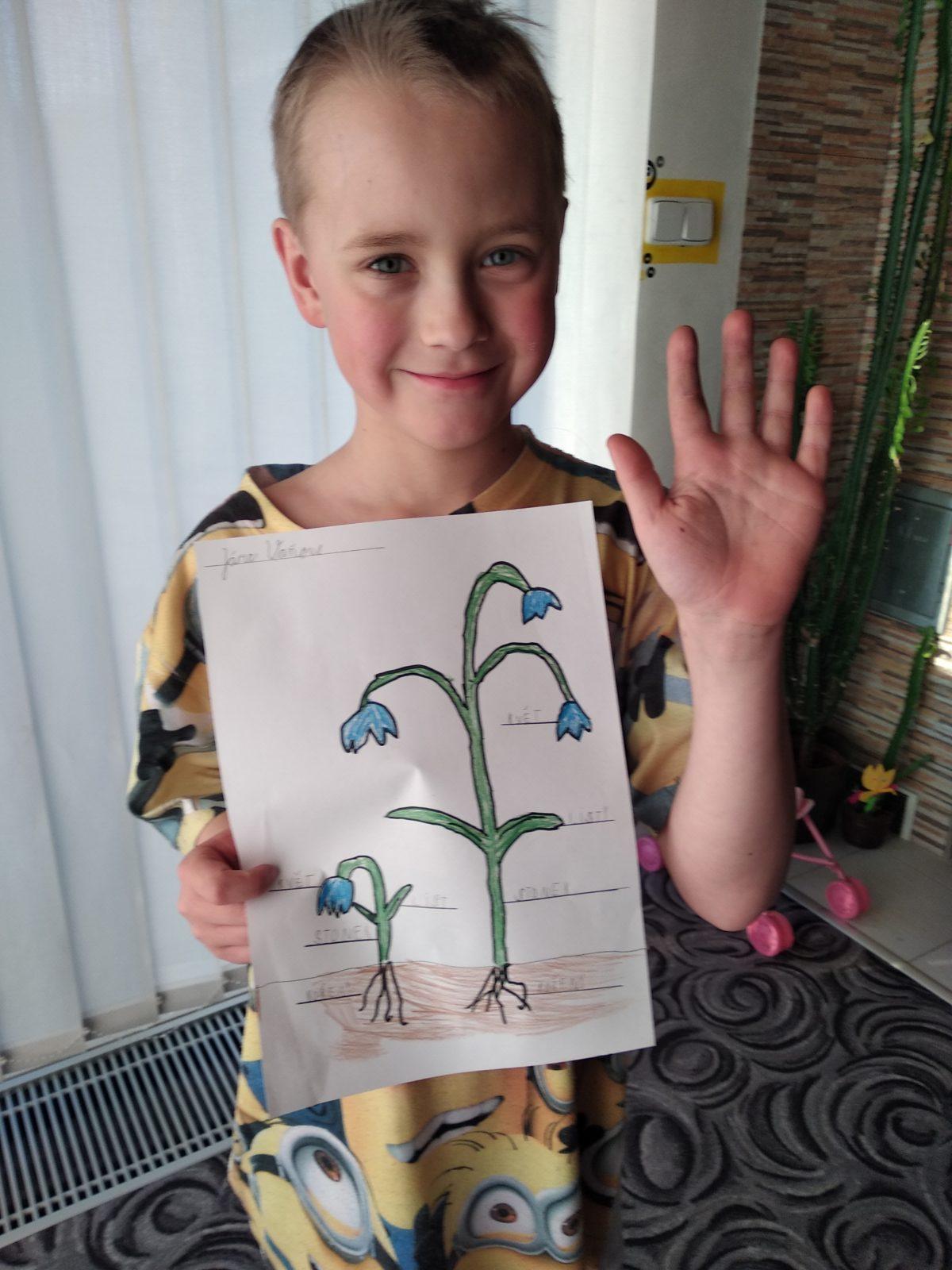 Aktivity druháčků v rámci domácího učení - pokračování - 4