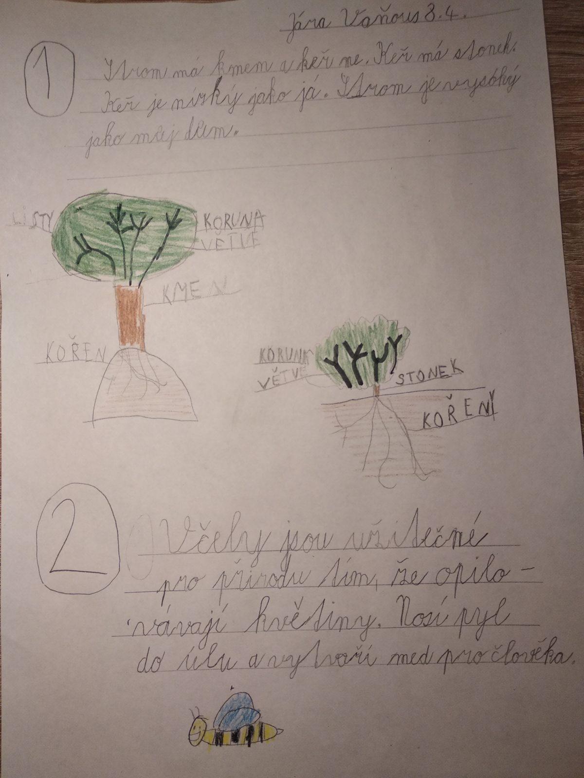 Výstupy druháčků z domácího učení 13. 4. - 5