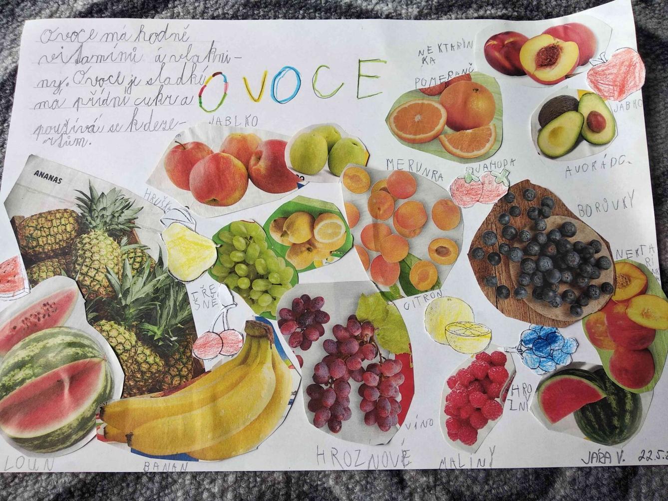 Výstupy druháčků z domácího učení 24. 5. - 2