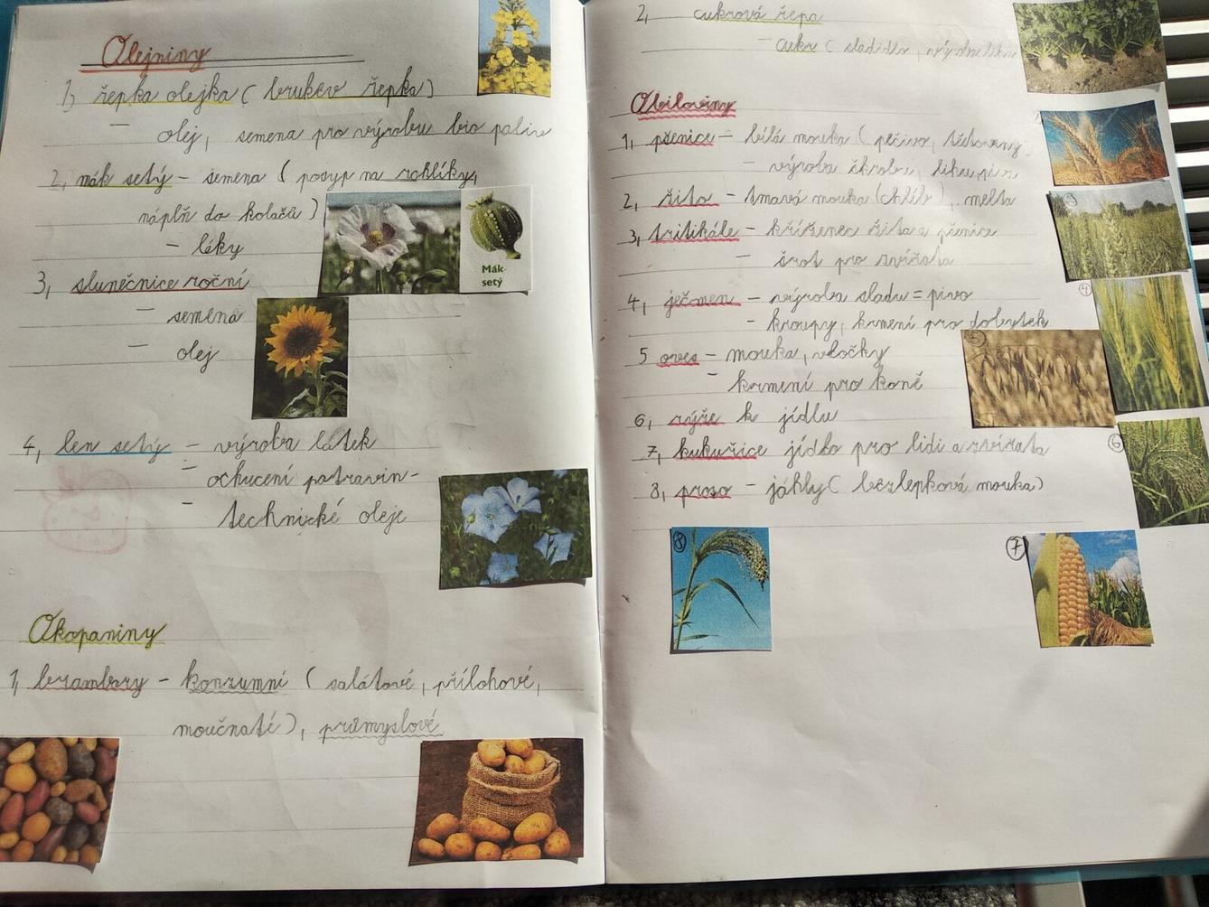 Distanční výuka ve třetí třídě 23. 10. - 16