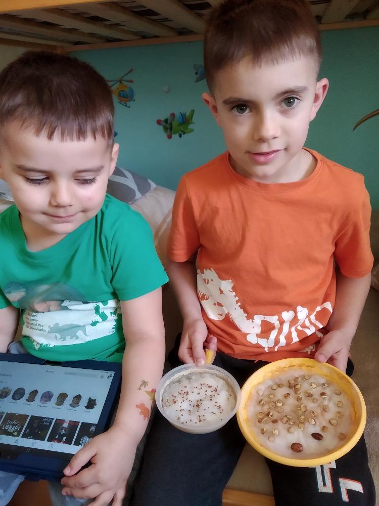 Aktivity druháčků v rámci domácího učení - 5