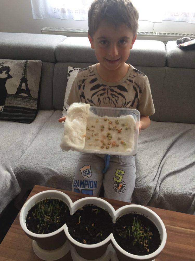 Aktivity druháčků v rámci domácího učení - pokračování - 5