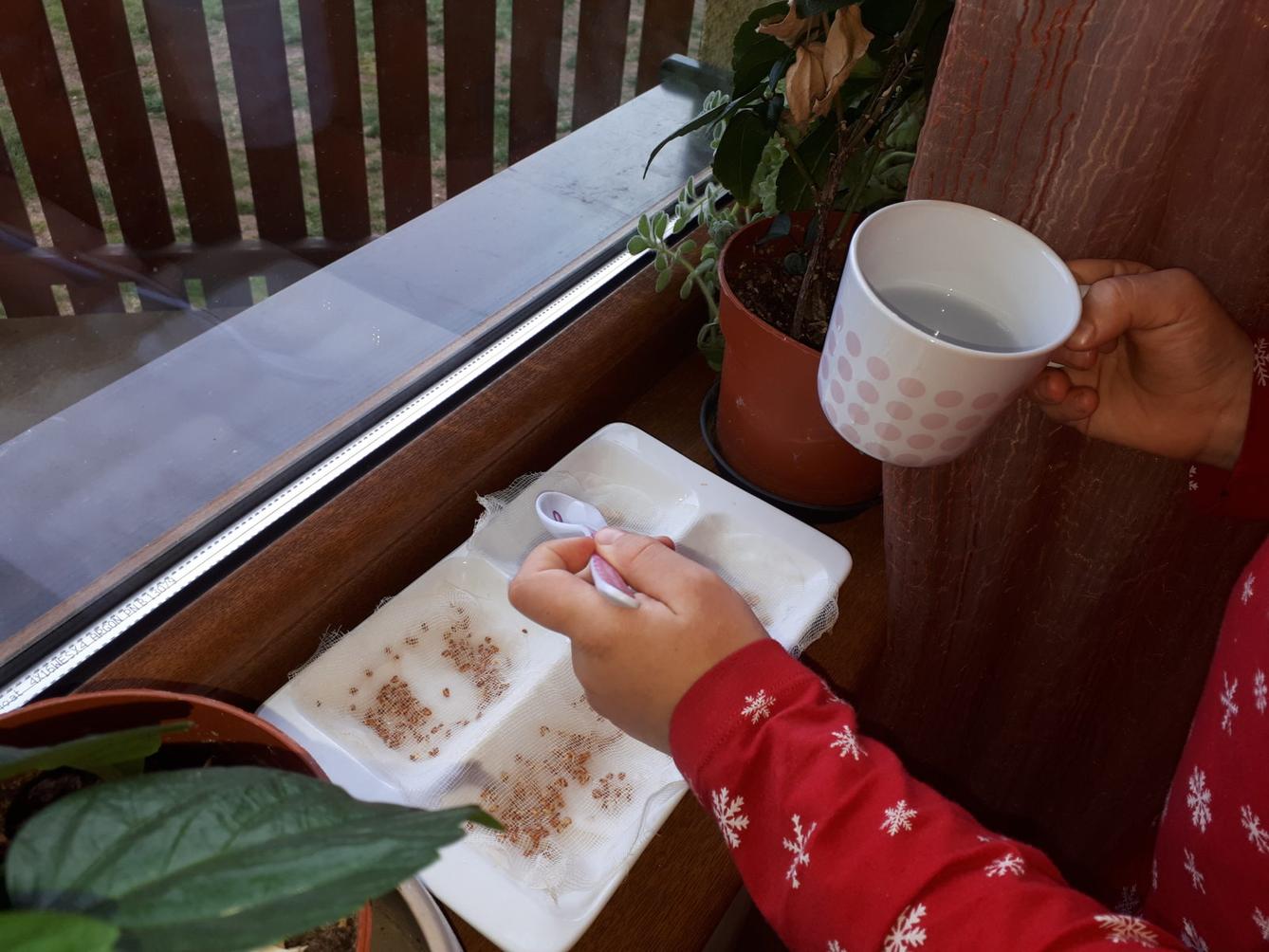 Aktivity druháčků v rámci domácího učení - 6