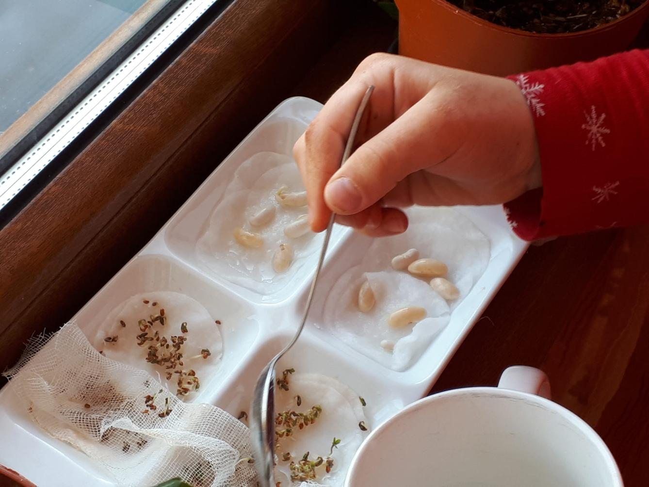 Aktivity druháčků v rámci domácího učení - 7