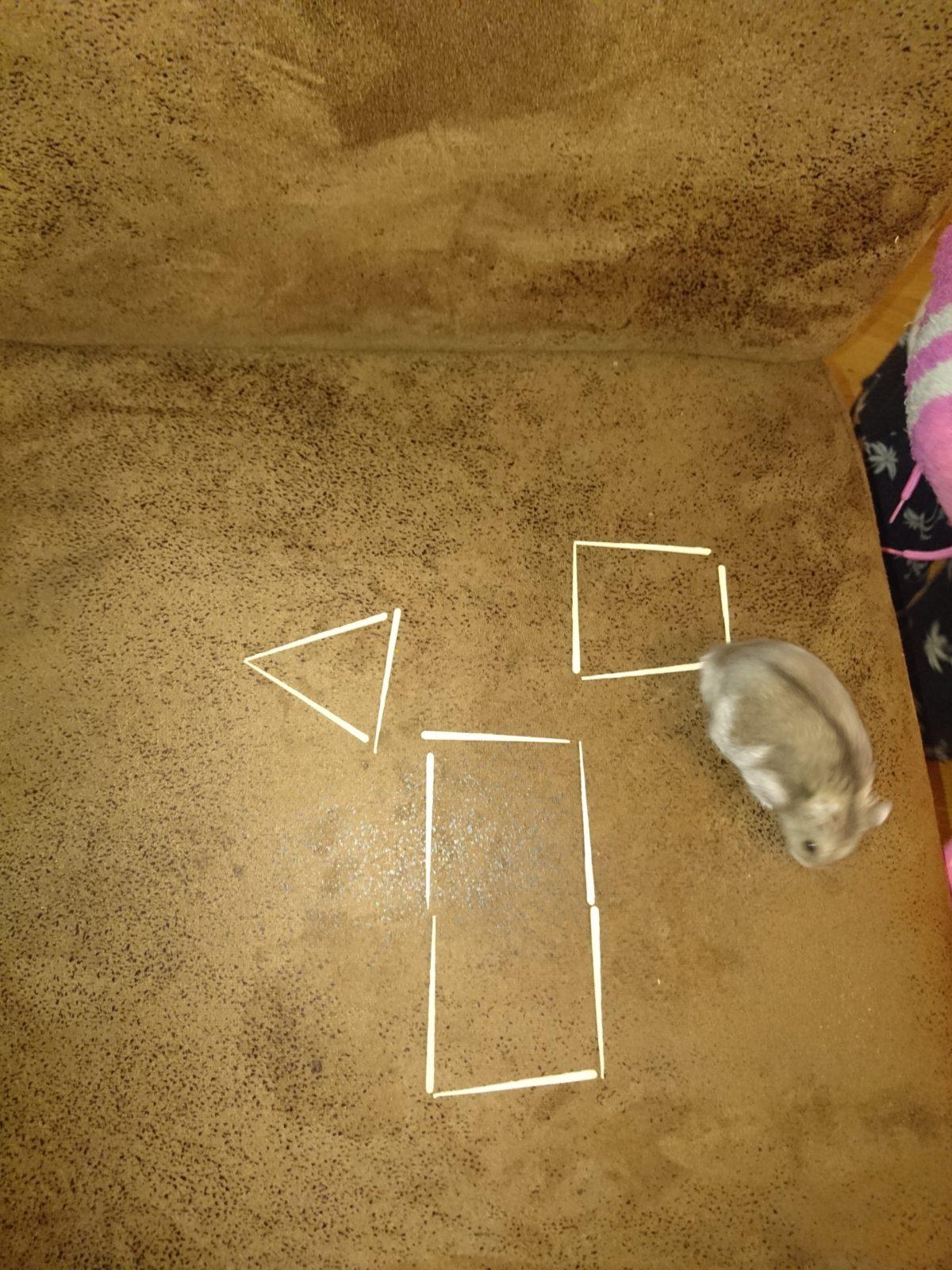 Domškoláctví u prvňáků - 15