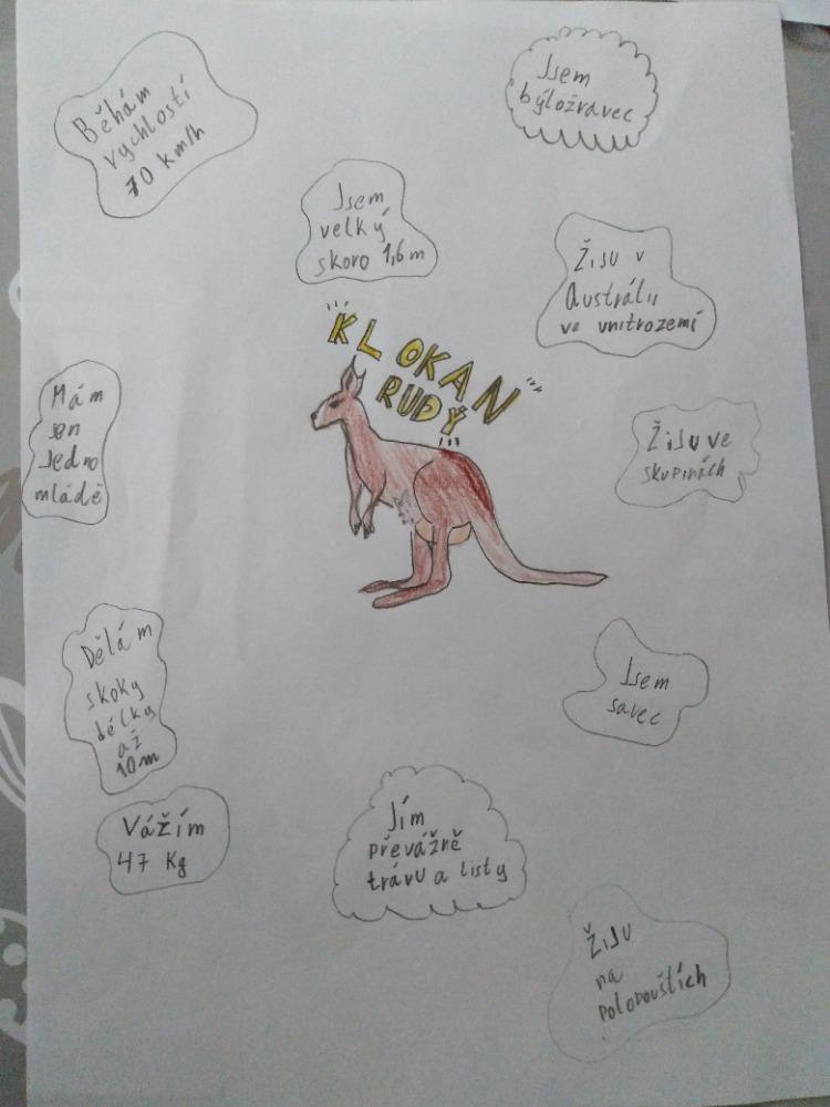 Škola doma v 5.B - 11