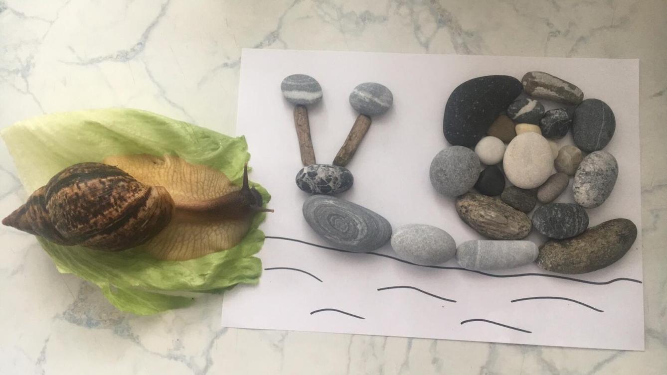 Kreativita deváťáků - 4