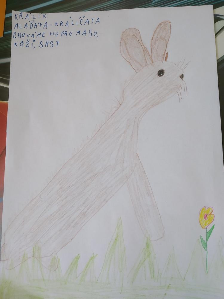 Výstupy druháčků z domácího učení 20. 4. - 6