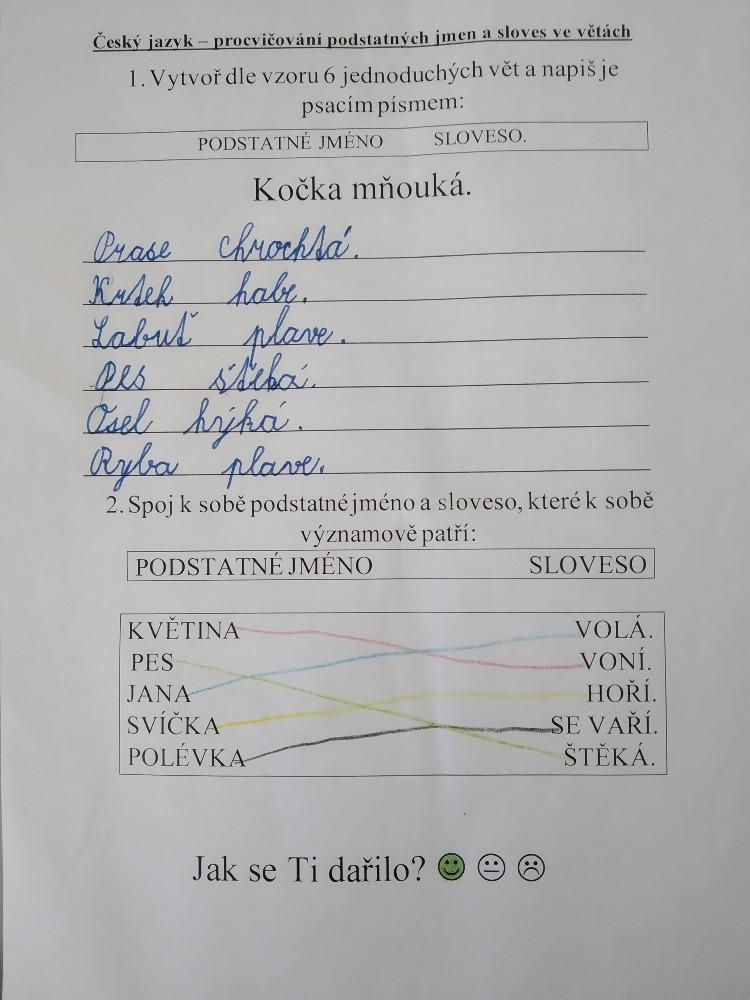 Výstupy druháčků z domácího učení 24. 5. - 13