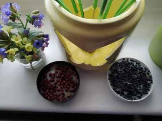 Výstupy druháčků z domácího učení 1. 4. - 8