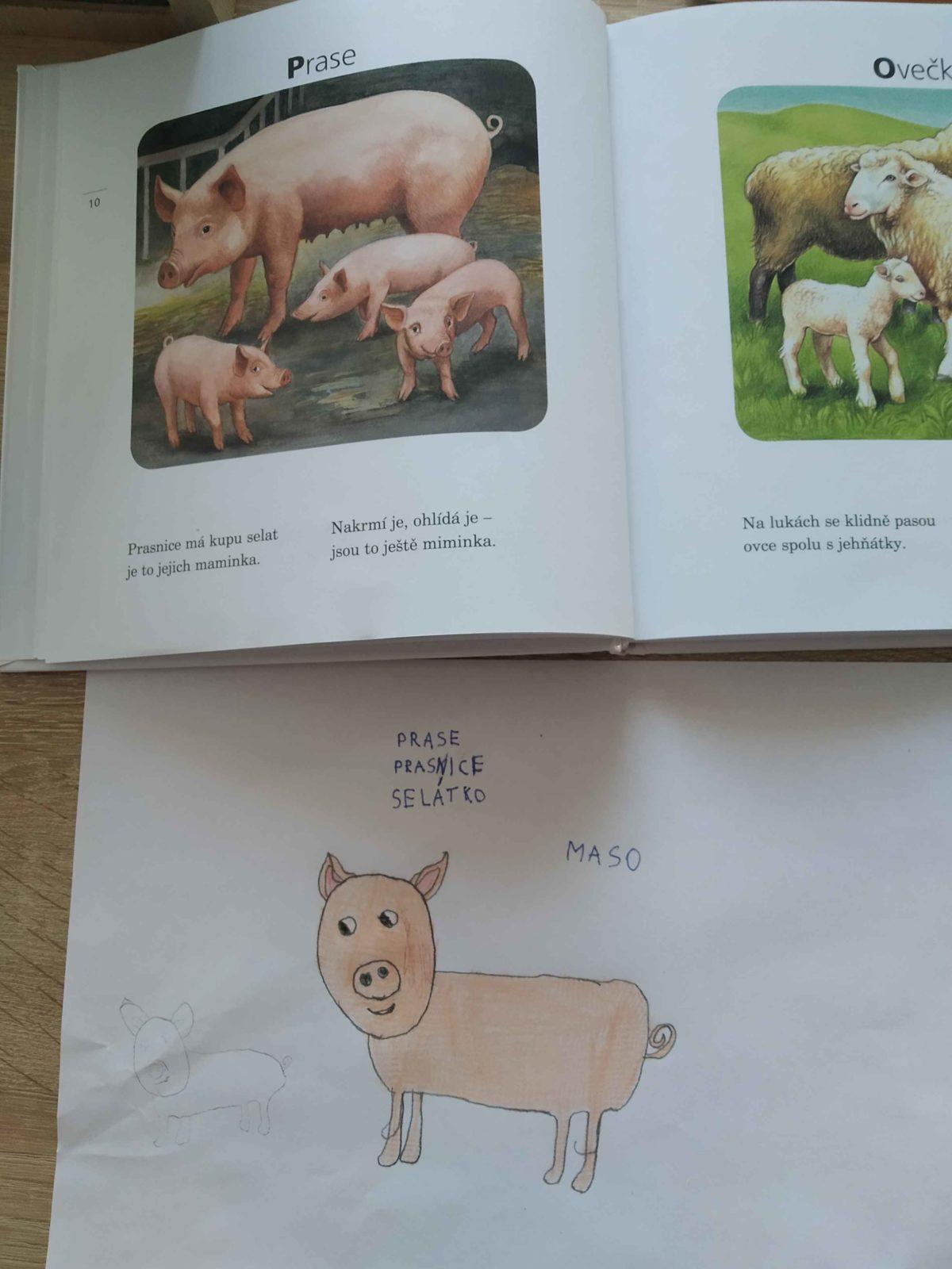 Výstupy druháčků z domácího učení 16. 4. - 6