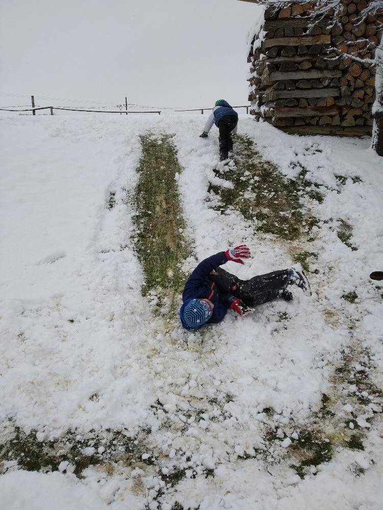 Distanční výuka ve třetí třídě 8. 1. - 5