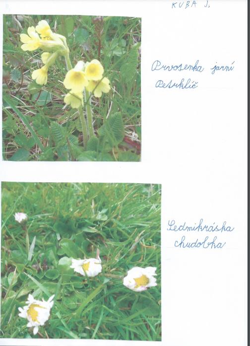 Distanční výuka ve třetí třídě 16. 4. - 12